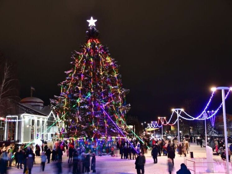 Жители Башкирии могут проголосовать за лучшую новогоднюю елку