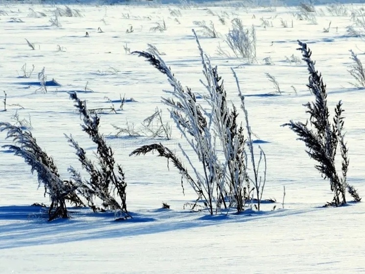 Завтра приметы расскажут о будущем урожае в Калмыкии