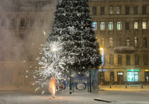 В Новый год, когда ­только-­только отгремели куранты, немалому количеству петербуржцев хочется как следует пошуметь. Люди выходят на улицу запускать салюты, дома включают погромче телевизор, чтобы спеть вместе со звездами, снявшимися во всевозможных «голубых огоньках». Бывает, что и гулянки переносятся во двор. Однако даже в Новый год и зимние каникулы действуют законы, за нарушение которых можно получить штраф или административное наказание.