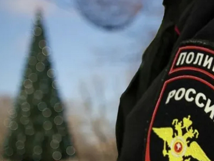 Новогодние праздники в Псковской области пройдут под усиленной охраной правопорядка