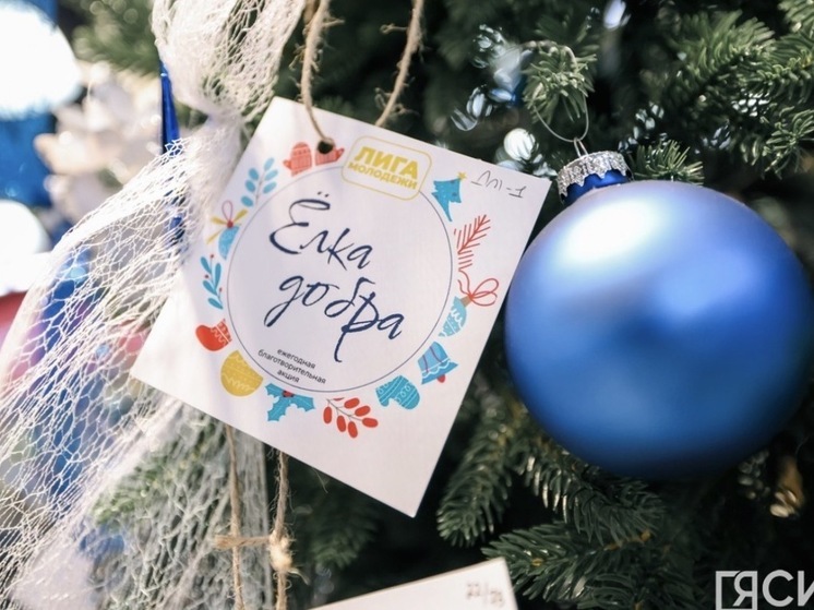 «Елка добра — 2025»: юбилейная акция объединила тысячи сердец по всей Якутии