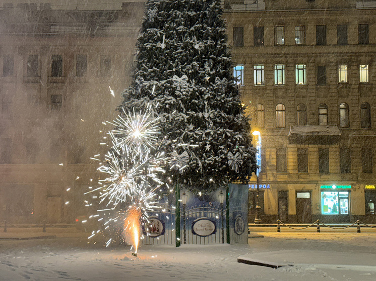 В Новый год, когда ­только-­только отгремели куранты, немалому количеству петербуржцев хочется как следует пошуметь. Люди выходят на улицу запускать салюты, дома включают погромче телевизор, чтобы спеть вместе со звездами, снявшимися во всевозможных «голубых огоньках». Бывает, что и гулянки переносятся во двор. Однако даже в Новый год и зимние каникулы действуют законы, за нарушение которых можно получить штраф или административное наказание.