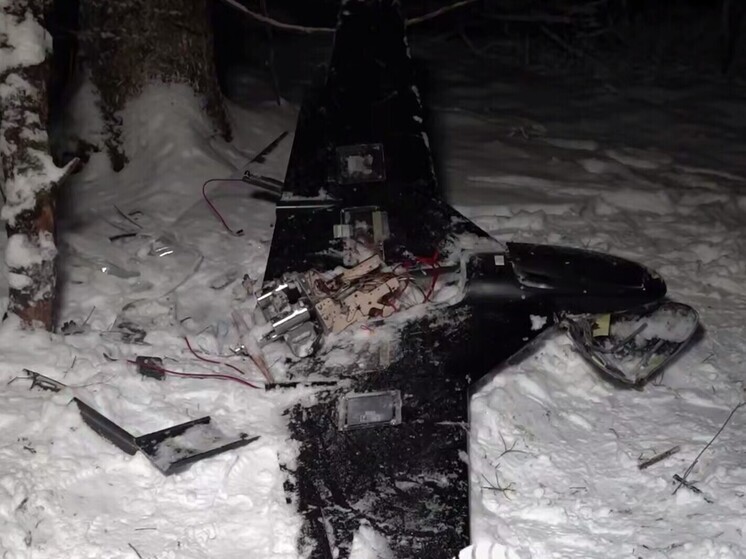 Минобороны показало сбитый украинский БПЛА, летевший на резиденцию Путина