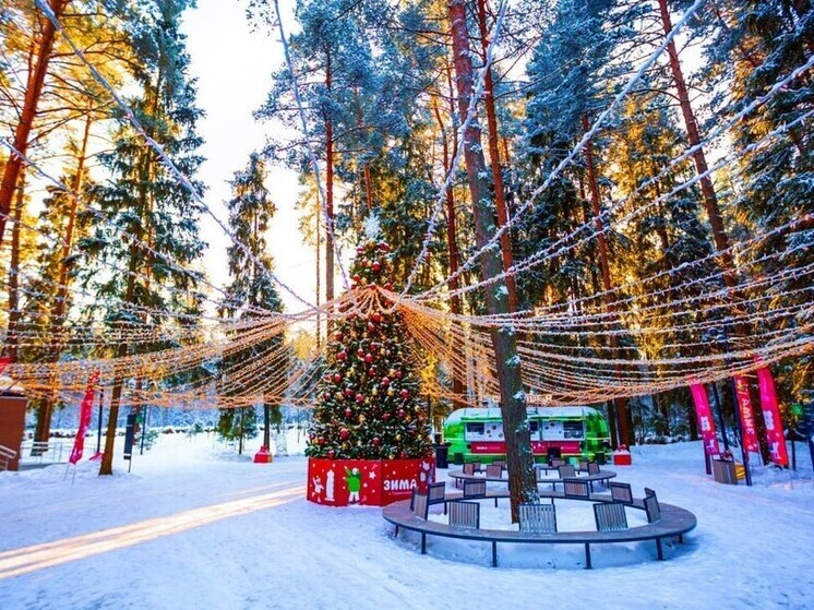 В Подмосковье стартует масштабная зимняя программа мероприятий