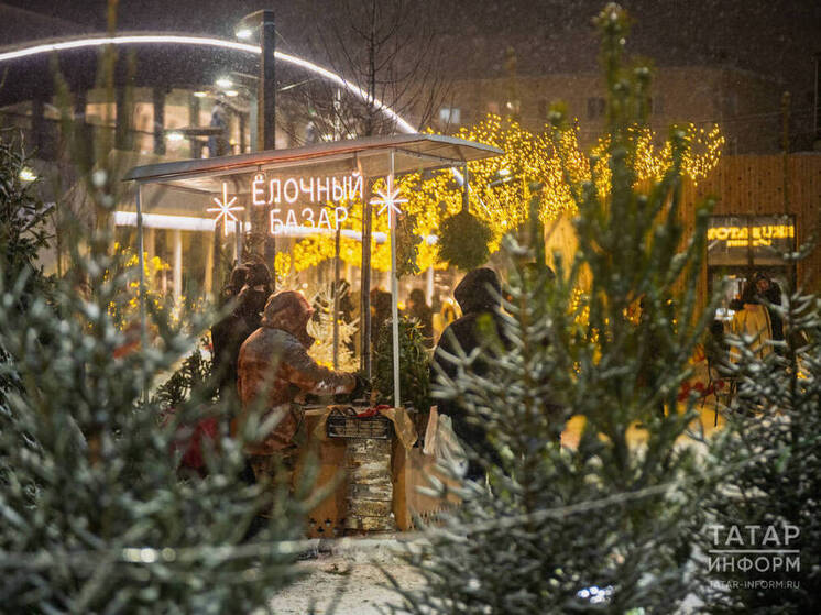 В первый день 2026 года татарстанцам прогнозируют небольшой снег и до 16 градусов мороза