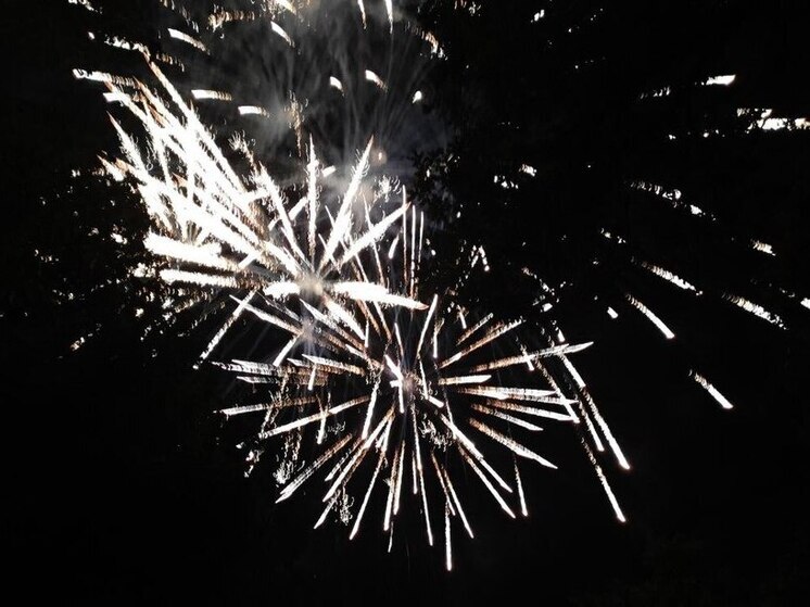 Главное управление МЧС России по Санкт-­Петер­бур­гу на своем сайте опубликовало список 37 площадок, предназначенных для безопасного запуска пиротехнических изделий. «Бахать» салютами здесь можно и в Новый год, и на протяжении праздничных выходных. Главное — не забывать про закон о тишине и раскрашивать небо яркими залпами в разрешенное время.