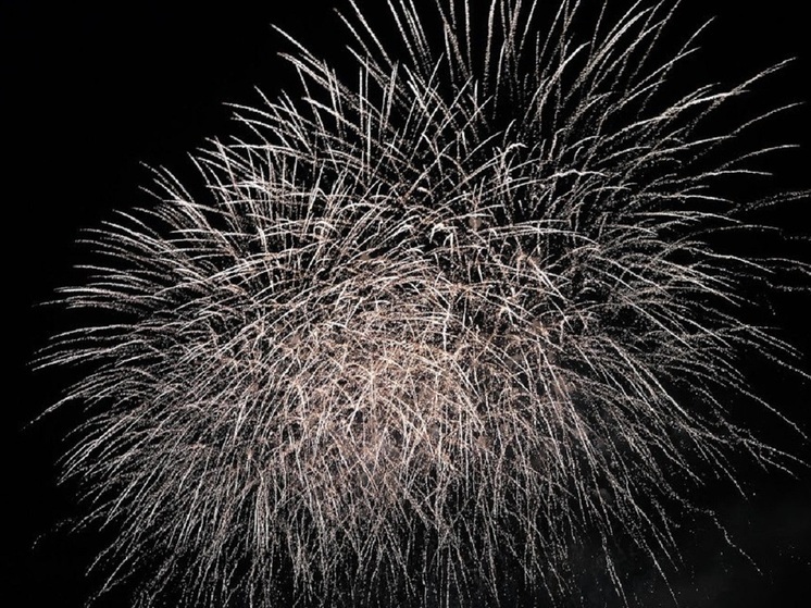 Волгоградцев предупредили о штрафах за использование петард и салютов