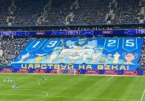 Спортивная жизнь Питера в ушедшем году была яркой и насыщенной. «МК в Питере» выделил три события, о которых хотелось бы вспомнить.