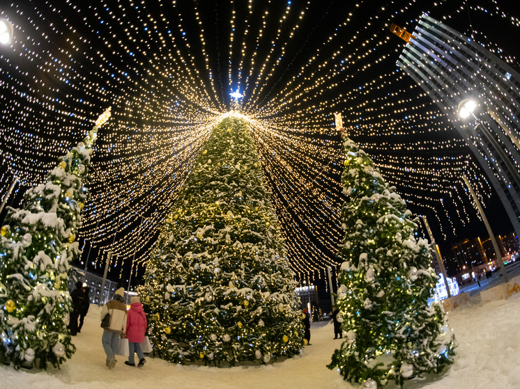 Глава Архангельска поздравил горожан с наступающим Новым годом
