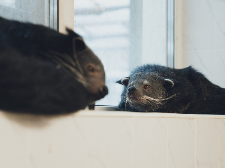 Каникулы заканчиваются: где пермяков ждут завтра