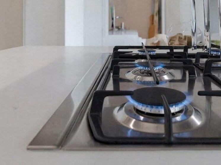 Воронежец подал в суд на «Газпром» за отключение газа на 9 месяцев