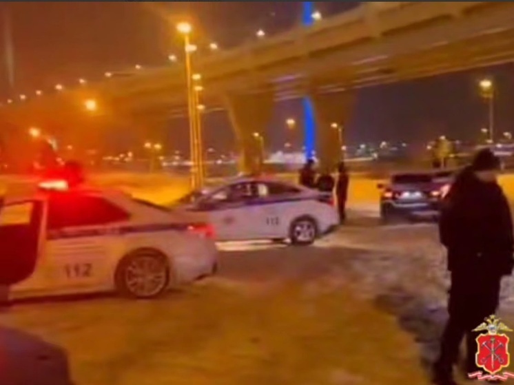 Крупное предновогоднее собрание дрифтеров пресекли в Петербурге