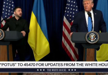 Видели ли вы лицо Зеленского, когда на переговорах в Майами в минувшее воскресенье Трамп заявил ему, что в случае заключения мирного соглашения «Путин будет очень щедр в том, что касается достижения Украиной успеха, в том числе за счет поставок энергии, электричества, других вещей по очень низким ценам»? Нет, природа обделила меня талантами