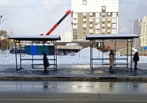 В Екатеринбурге завершились поиски Светланы, которая пропала 25 декабря
