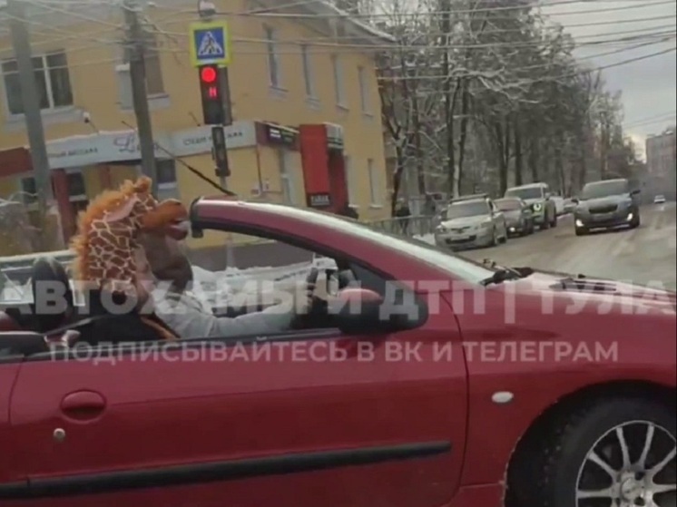 Медведь и жираф прокатились на кабриолете по Туле под Новый год