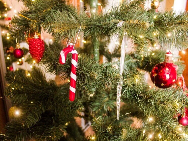 Петербуржцам посоветовали одеть новогоднюю ёлку в «тёплые» игрушки