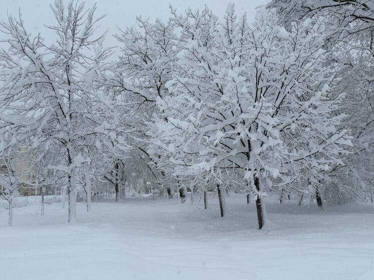 Женщина погибла под обрушившейся от снега крышей в Белореченске, ещё один человек пострадал
