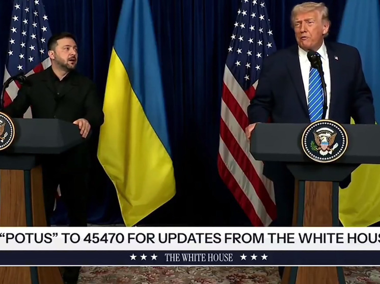 Видели ли вы лицо Зеленского, когда на переговорах в Майами в минувшее воскресенье Трамп заявил ему, что в случае заключения мирного соглашения «Путин будет очень щедр в том, что касается достижения Украиной успеха, в том числе за счет поставок энергии, электричества, других вещей по очень низким ценам»? Нет, природа обделила меня талантами