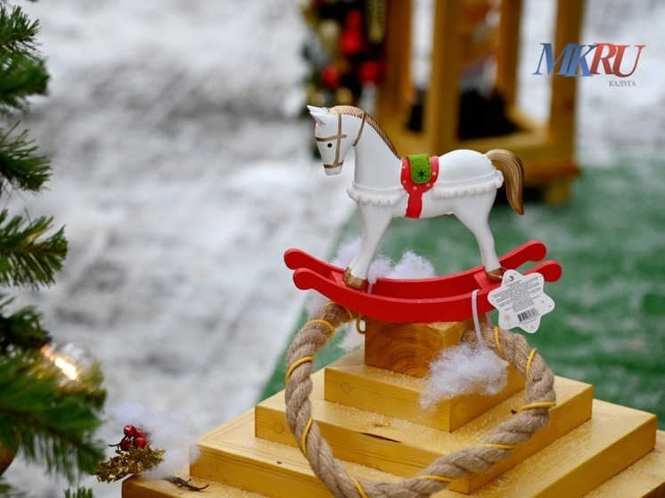 Первый день 2026 года в Калуге будет холодным и снежным