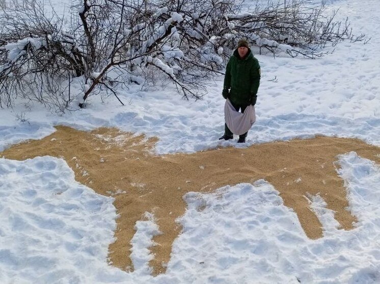 Госинспекторы Бурятии подготовили новогоднее «угощение» для диких животных в виде символа 2026 года