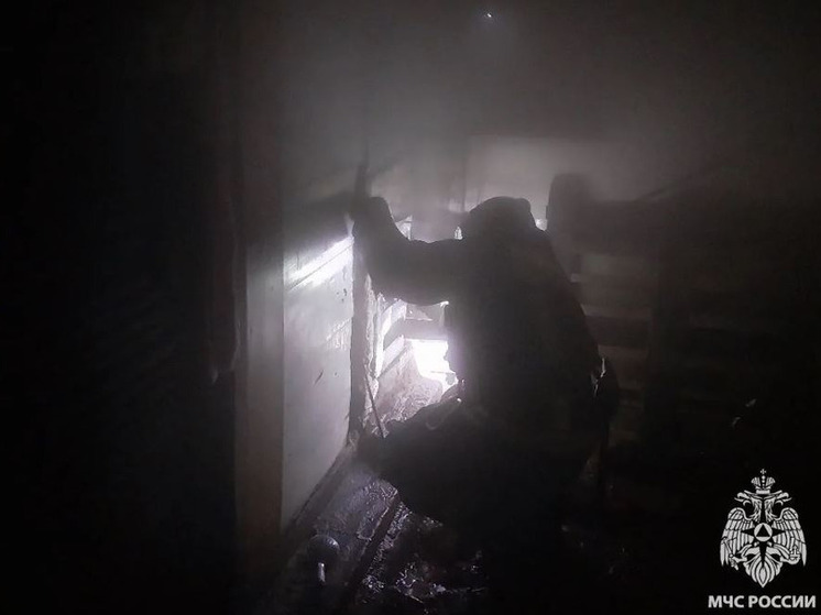 В Орловской области сгорела баня из-да неисправного печного отопления