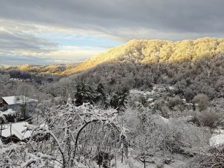 Жителей нескольких районов Кубани попросили подготовиться к возможной эвакуации из-за подъёма уровня рек