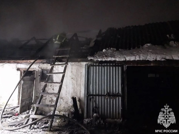 В предновогоднюю ночь в Орле сгорела баня на улице Молдавской