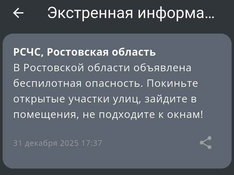 В канун Нового года в Ростовской области ввели режим беспилотной опасности