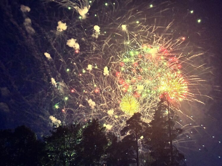 Запускать фейерверки в Гатчине можно будет на двух площадках