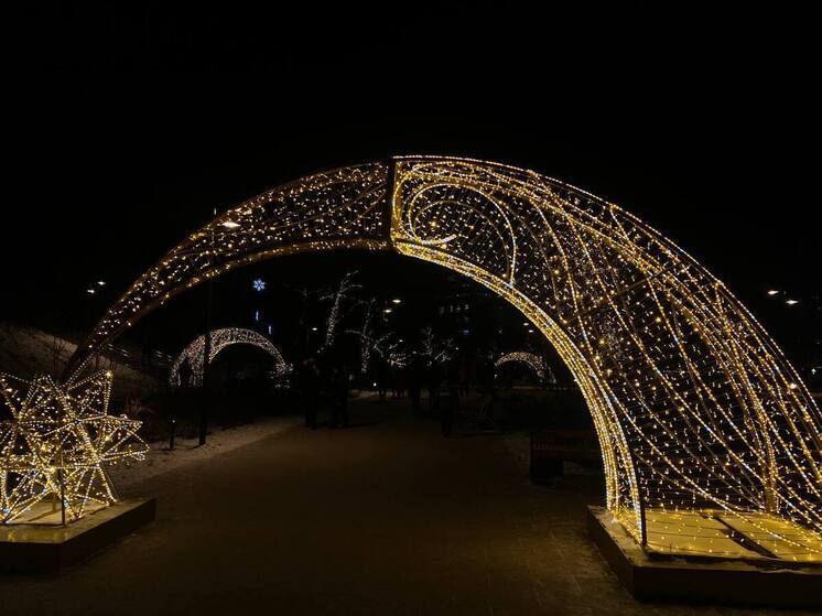 Рязанцам напомнили о наказании за распитие шампанского во дворе в Новый год