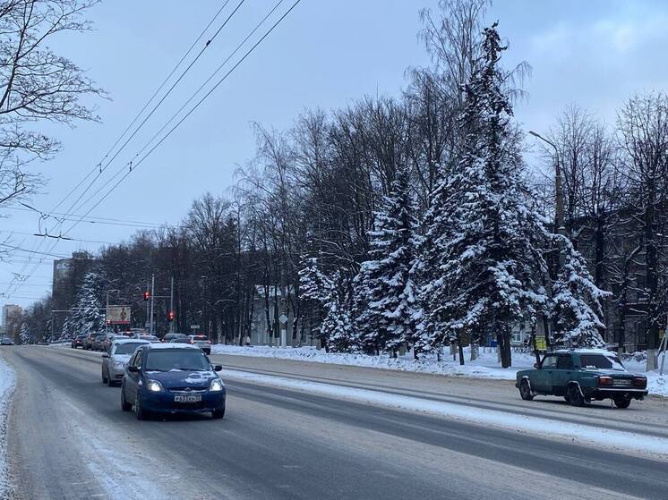 Липецкая область встречает Новый год облачной погодой и морозом