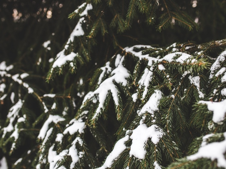 Снежные осадки и похолодания до -6 градусов придут в Томск 1 января