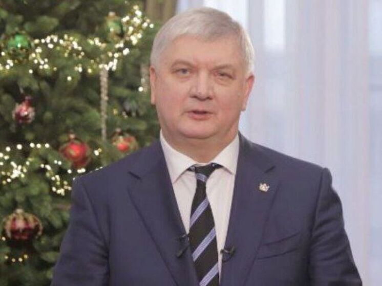Гусев поздравил воронежцев с наступающим Новым годом