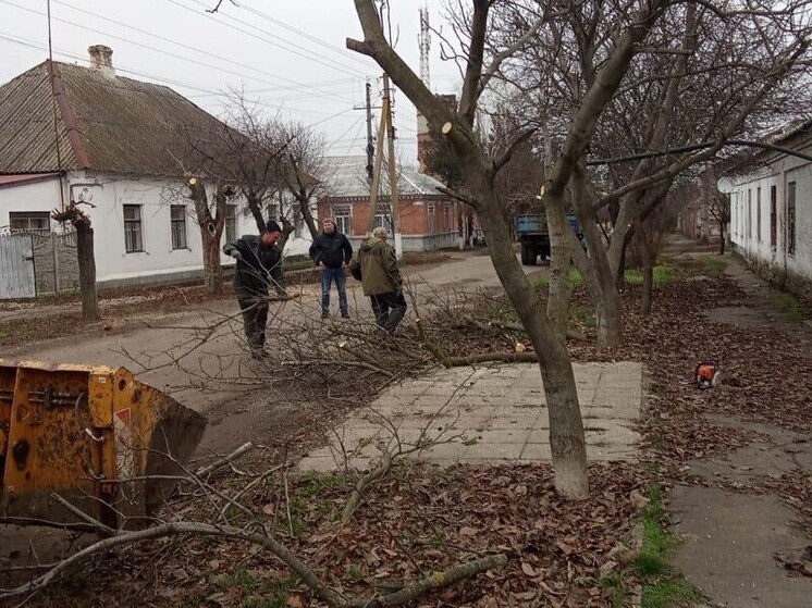 Специалисты из Ингушетии провели санитарную обрезку деревьев в Молочанске