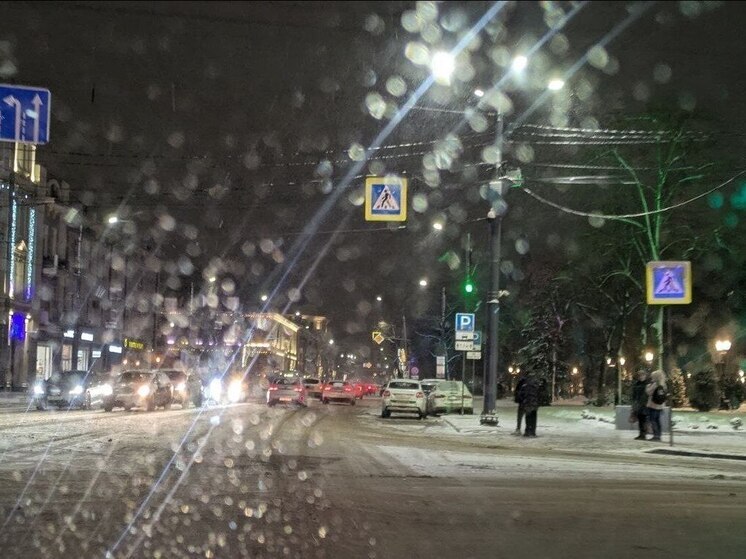 Стало известно, какая погода ждет воронежцев в первый день нового года