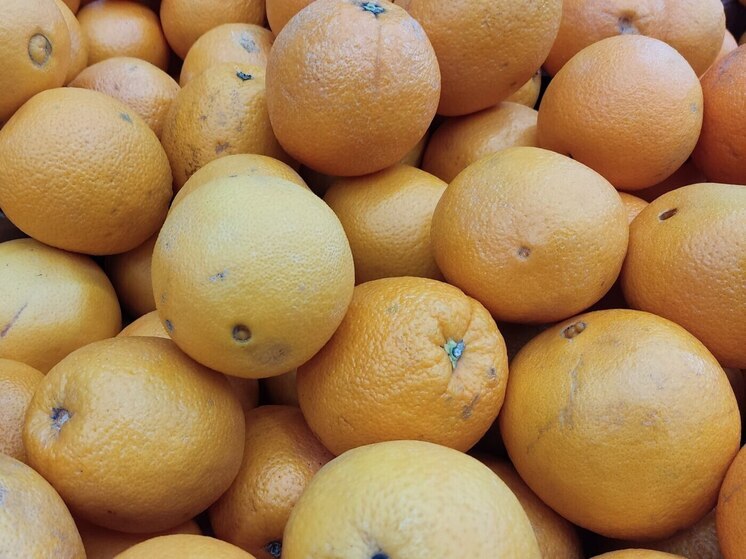 Аромат цитрусовых поможет ребенку выучить стихи без слез