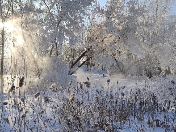 Омичи готовятся к холодам: интересная зимняя техника на Авито