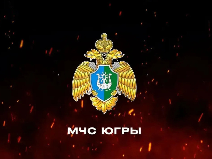 В Югре подвели итоги пожарной обстановки за канун и ночь Нового года