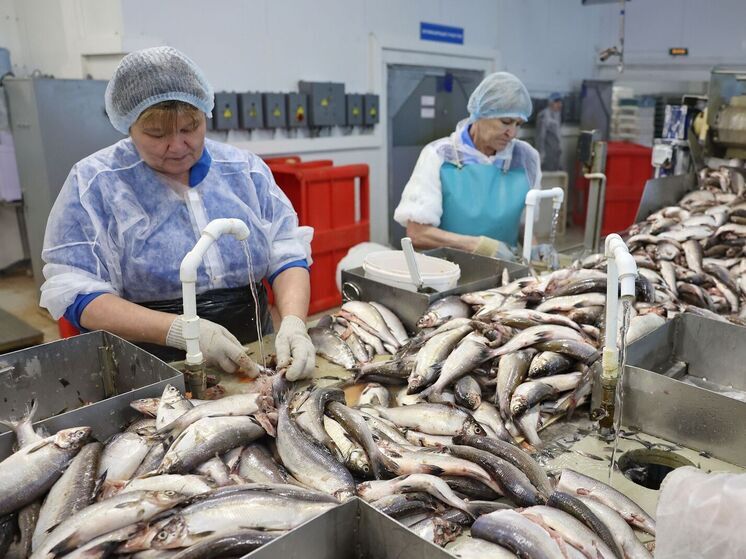 На Ямале с 1 января проиндексируют на 5,4% меры соцподдержки. В первую очередь изменения затронут представителей КМНС, АПК, а также сферы спорта, экономики и образования.