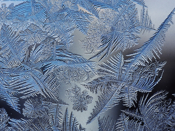 В последний день старого года столбик термометра в Ленинграде достиг -34 по Цельсию, замерзли малые реки и каналы Невских набережных, а Финский залив у берегов стоял плотным ледяным полем