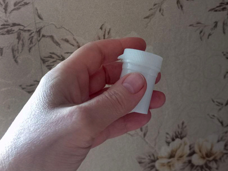 Новгородцам рассказали, как создать семейную капсулу времени