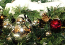 Доминирующий представитель флоры на данное время – конечно елка