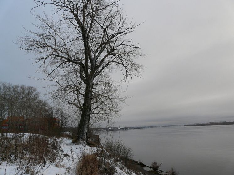 Погода в Поморье: морозно