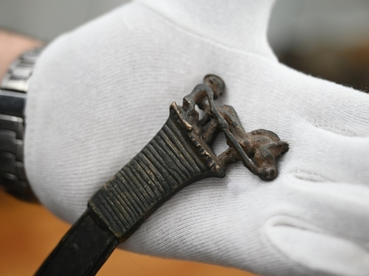 В музее ТГУ показывают древние артефакты с лошадьми к новому году