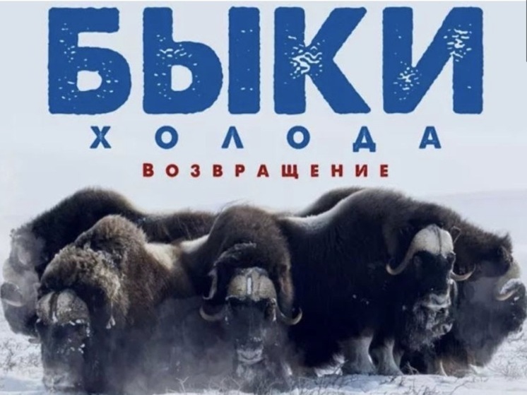 Триумф в Поднебесной: Якутский фильм удостоен «документального Оскара» Китая