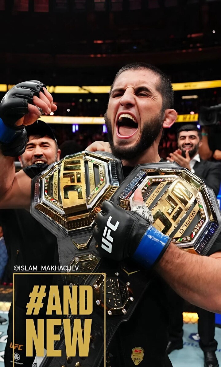 Кровь и слезы на канвасе: каким был 2025 год в ММА