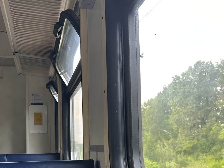 Снегопад на юге России нарушил движение поездов через Воронеж