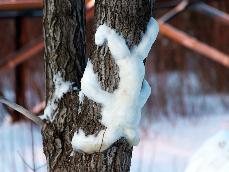Приметы на Игнатьев день: что нельзя делать 2 января 2026 года