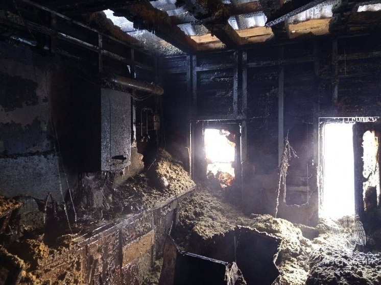 Молодая женщина погибла на пожаре в Нижегородской области