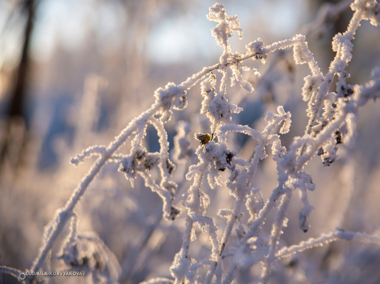 2 января в Карелии температура опустится до -20 градусов